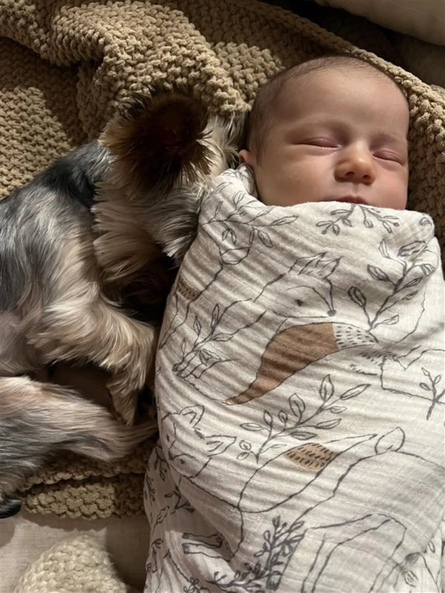 Single Swaddle - Woodland
