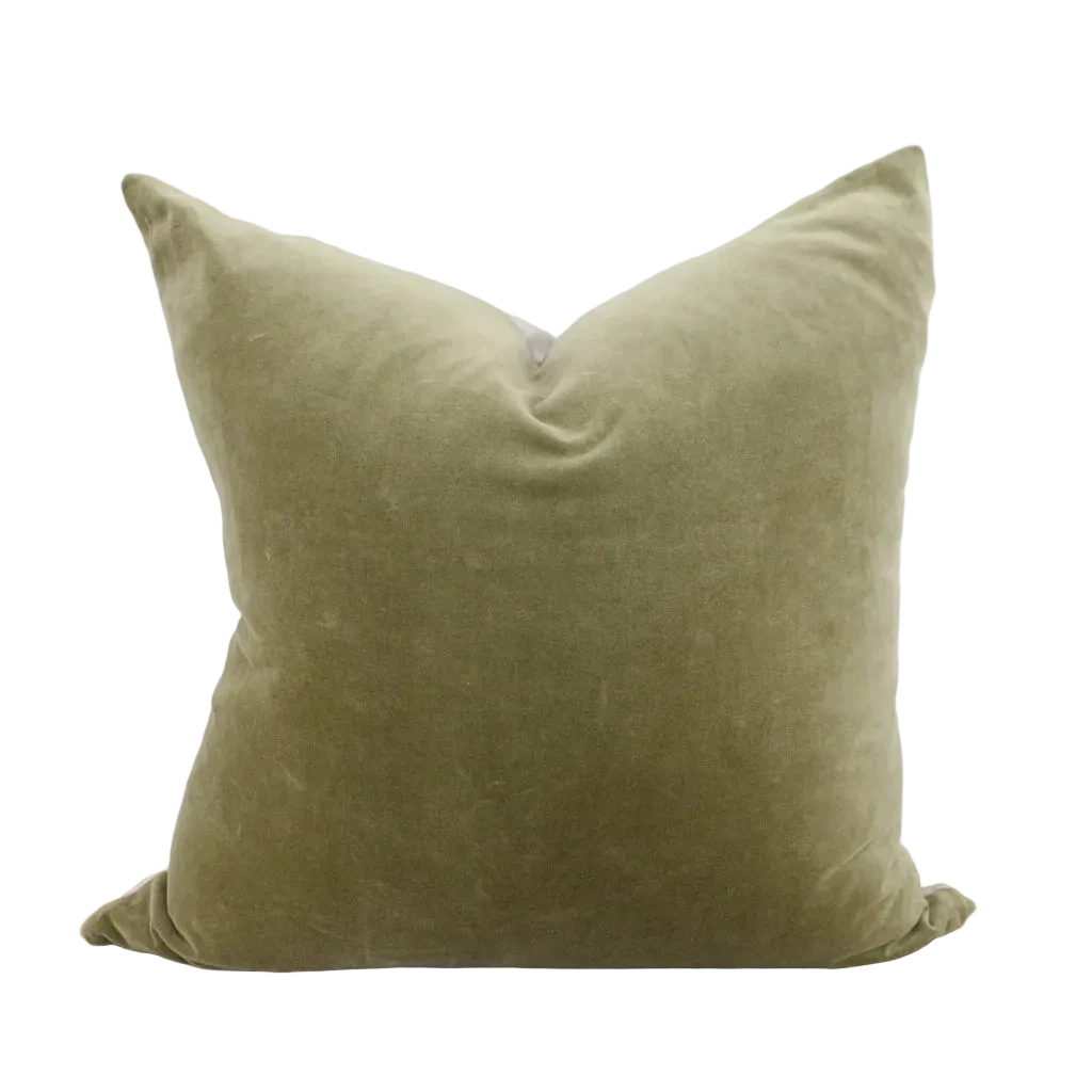 Sage Green Velvet Cushion With Linen Back