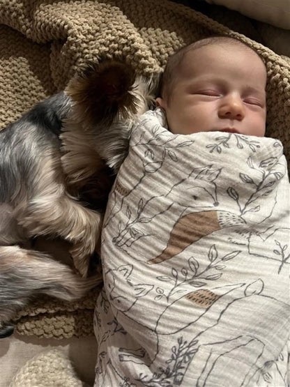Single Swaddle - Woodland
