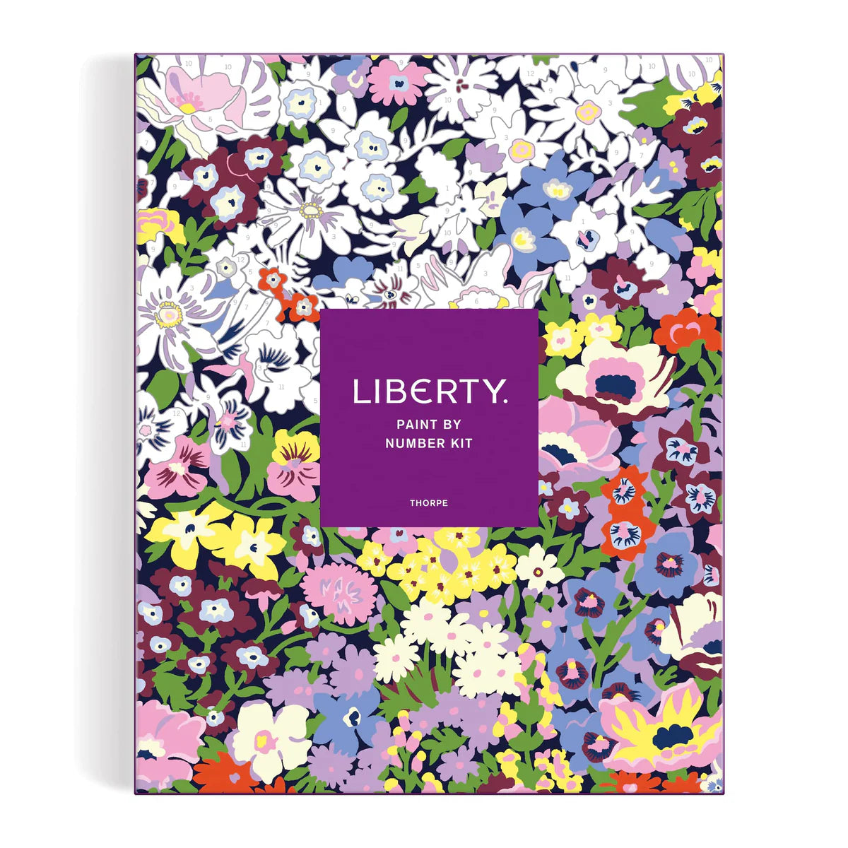 Liberty Paint By Number Kit